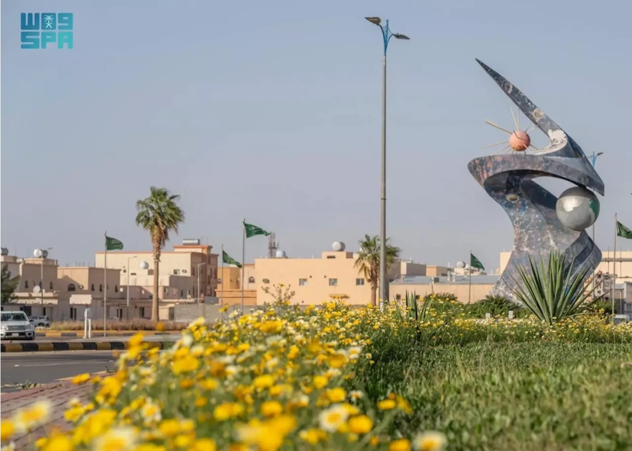 مع موسم الربيع.. الجوف تفوح بعبق النباتات العطرية والزهور