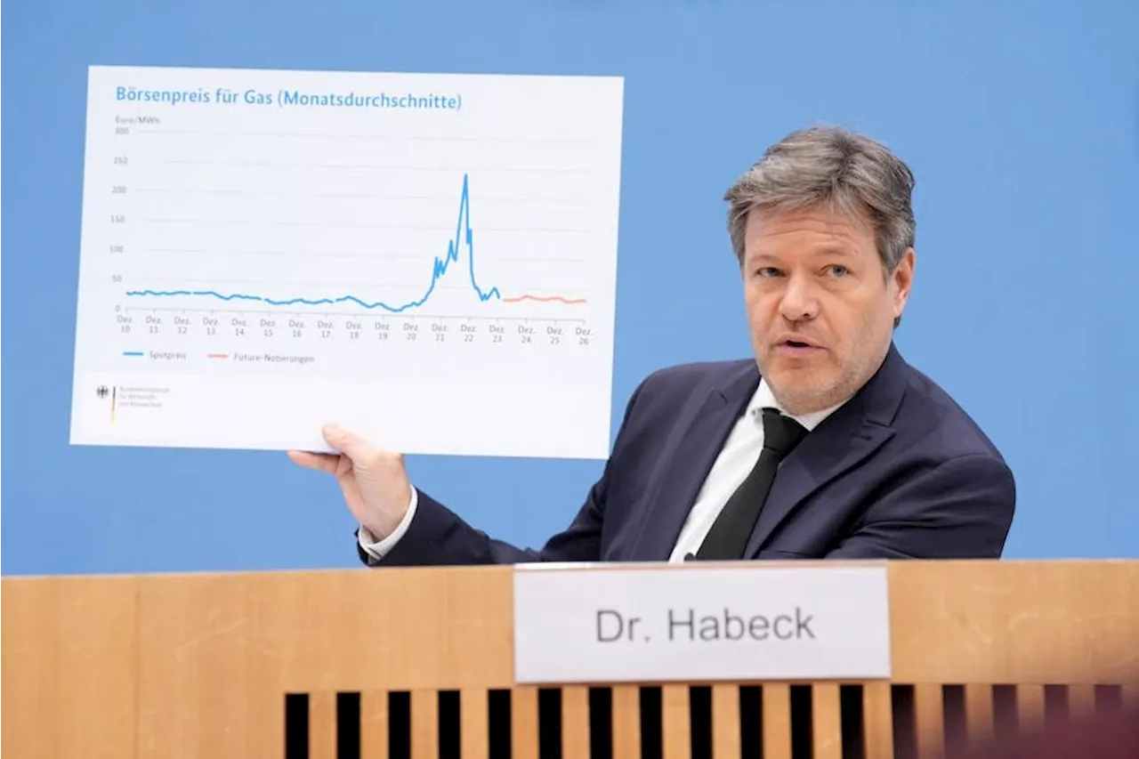 Topökonomen: Habecks Energiepolitik hat Deutschland ärmer gemacht und die AfD gestärkt