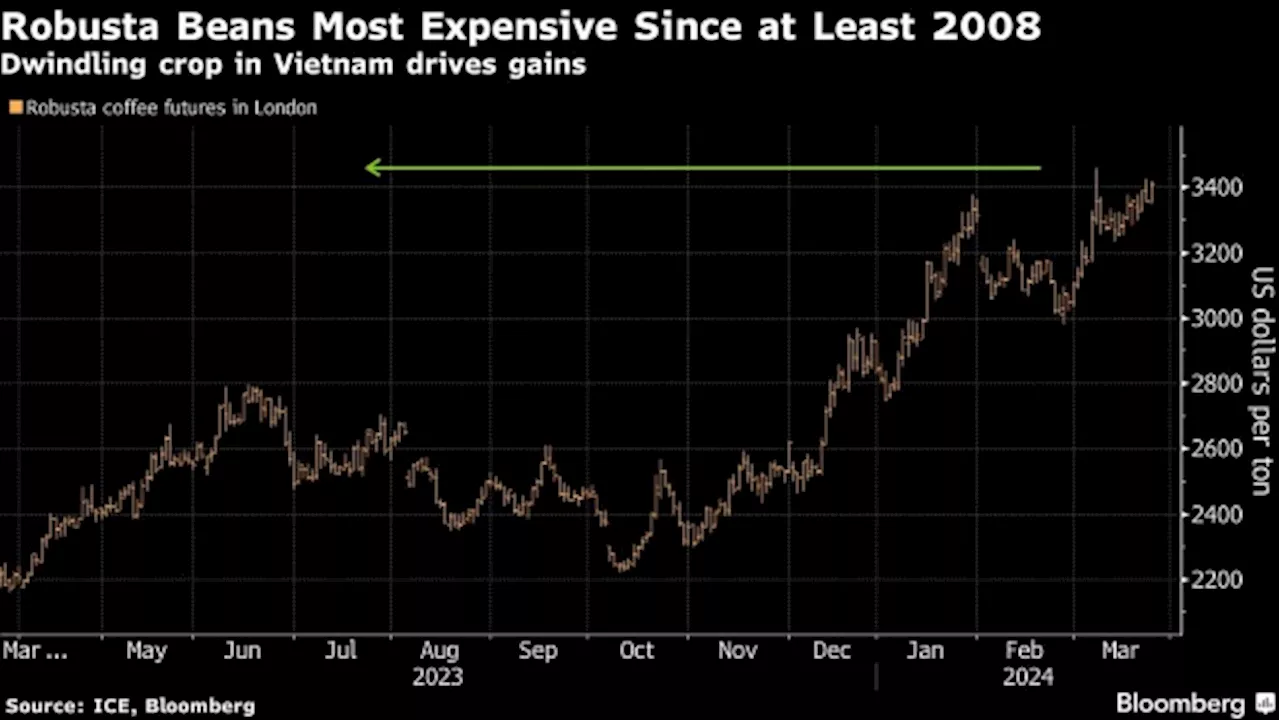 Coffee Supplies From Top Shipper Vietnam Seen Shrinking Further