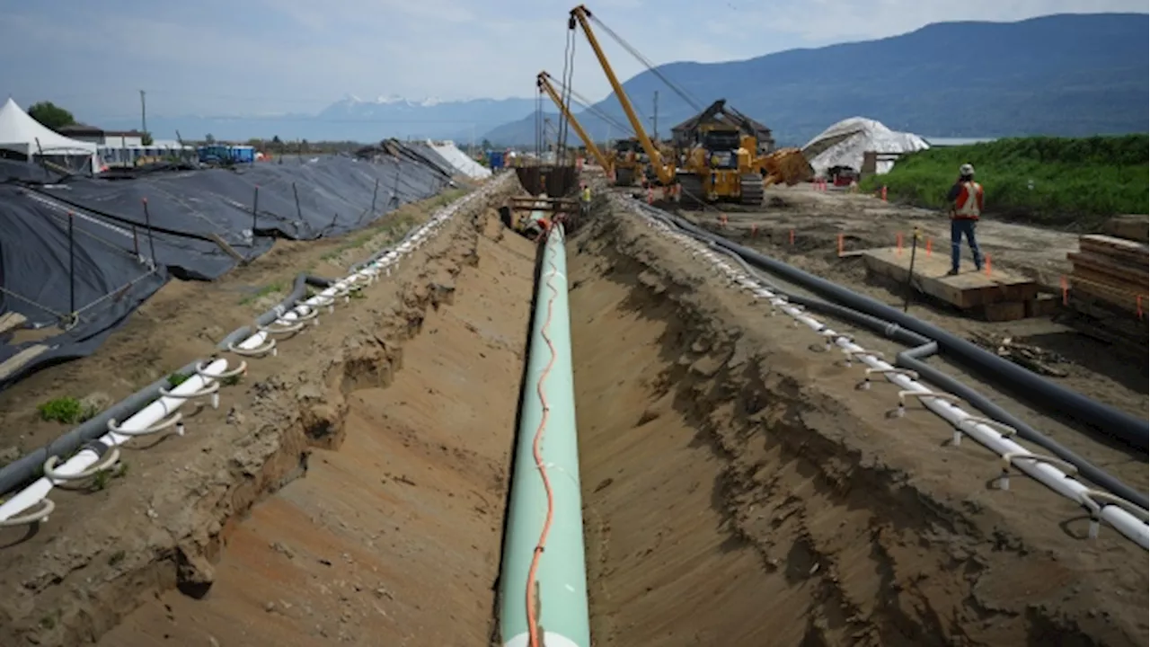 What's next for the Trans Mountain pipeline project?