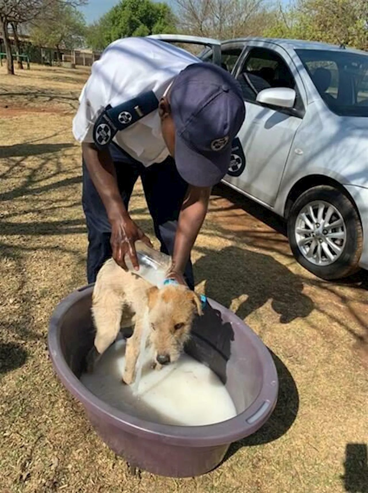 A day in the life of an SPCA inspector