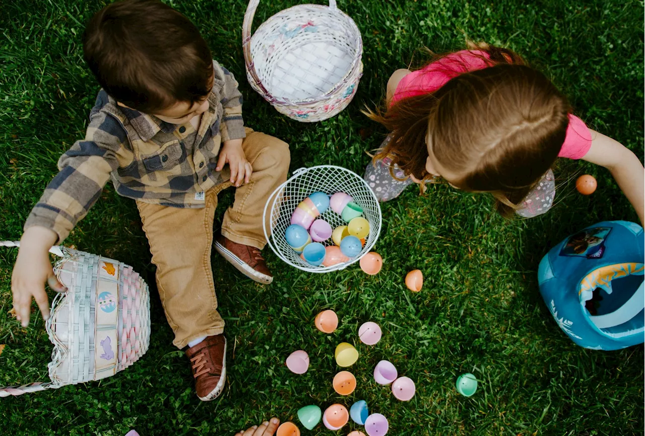 It’s OK to put all your eggs into your property basket