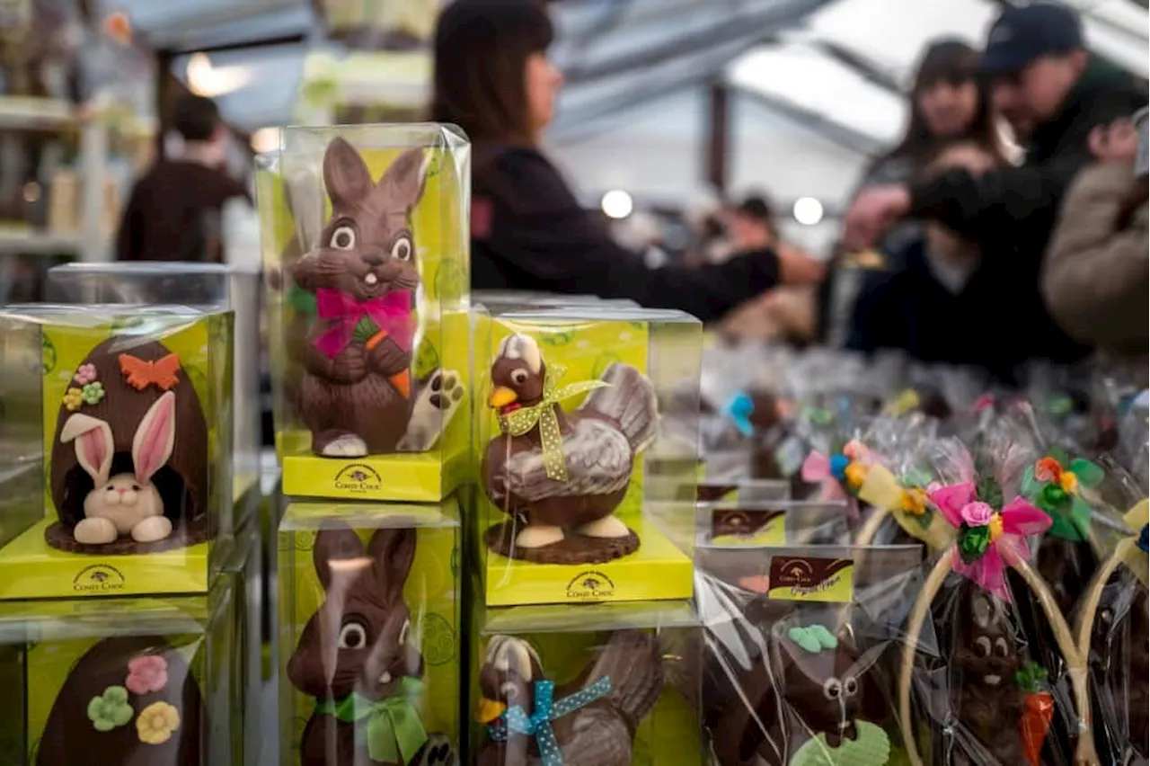 Swiss chocolatiers bank on the Easter bunny as cocoa costs soar
