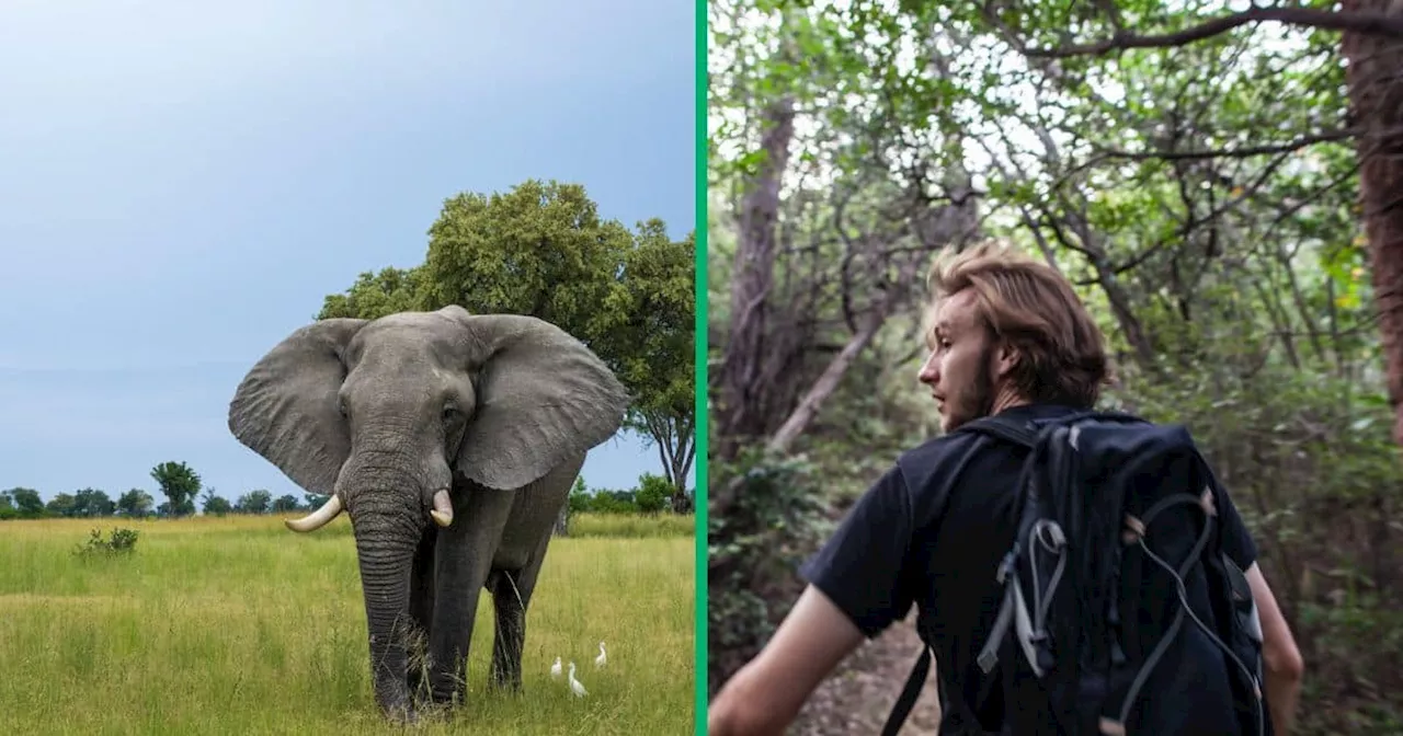 Two Men's Heart-Stopping Encounter with Charging Elephant Goes Viral on TikTok