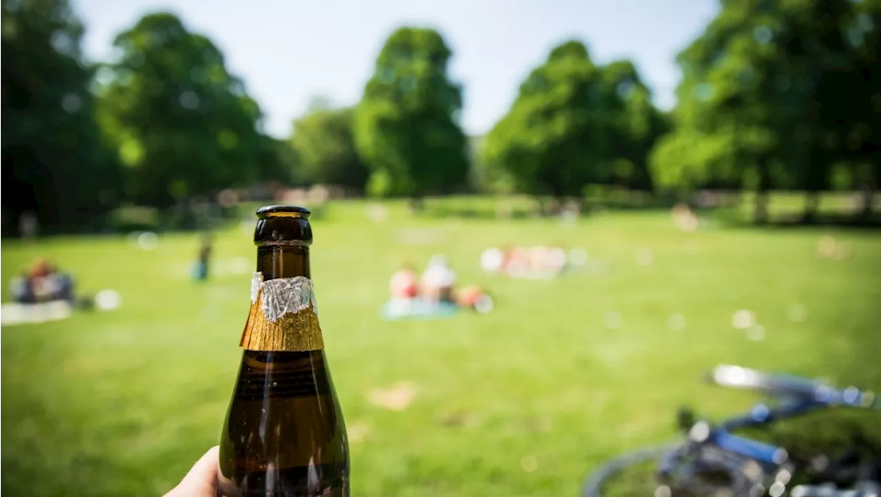 No legal booze in Ottawa's parks in 2024, staff recommend