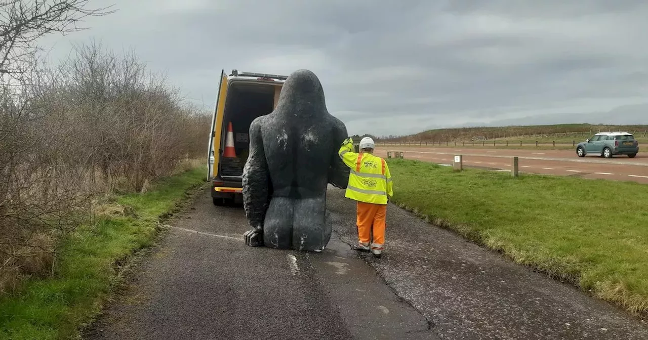 Stolen gorilla found cut in half in Scots lay-by one year after being snatched