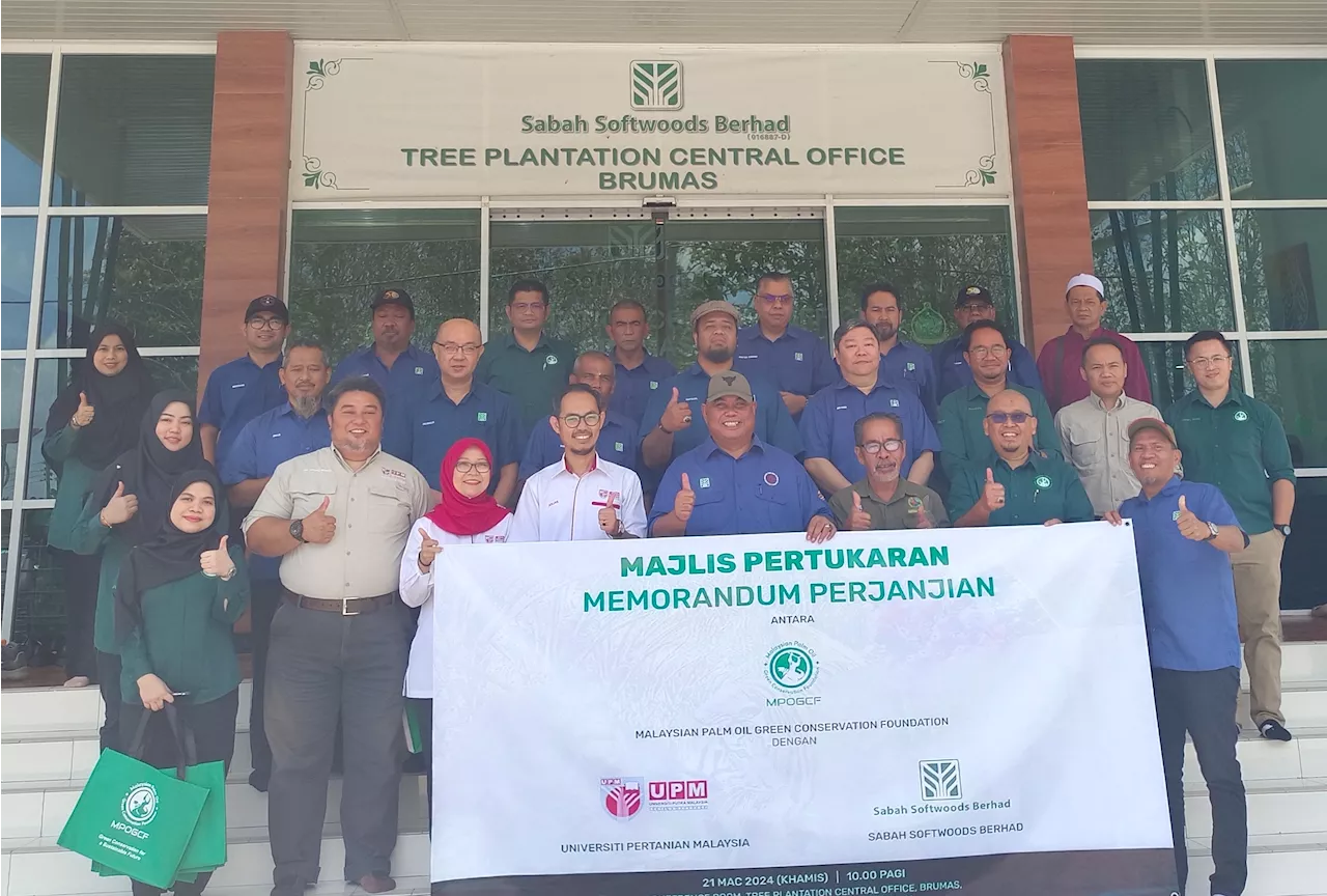 Over RM450,000 Bornean Elephant Grass Planting project: SSB