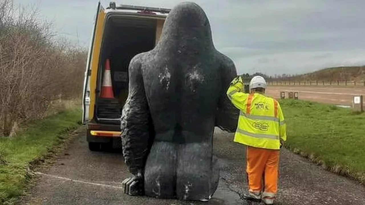 Stolen £3,000 8ft 'Gary the gorilla' statue is found on a layby in Fife after being snatched