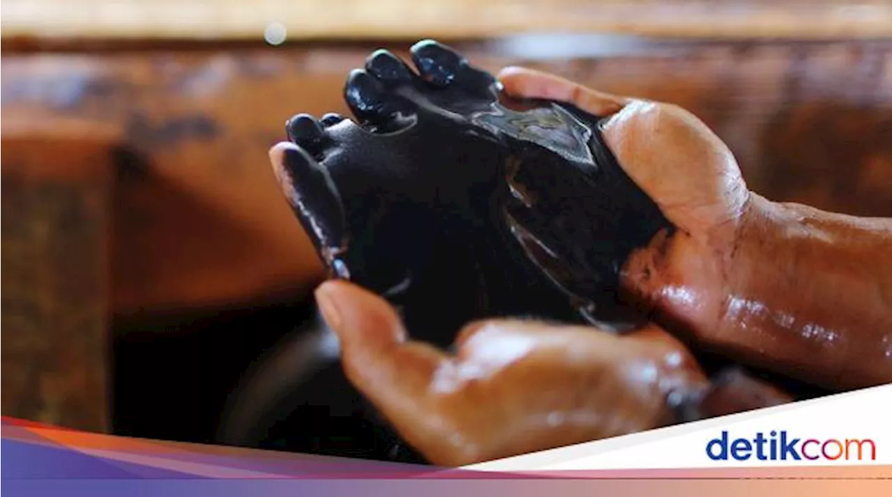 'Harta Karun' yang Ramai Dicari Eropa Ngumpet di RI, Ini Bocoran Lokasinya