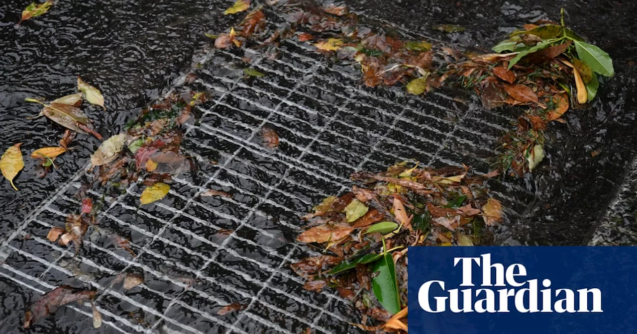 Man rescued after 36 hours in stormwater drain in Brisbane’s Kangaroo Point