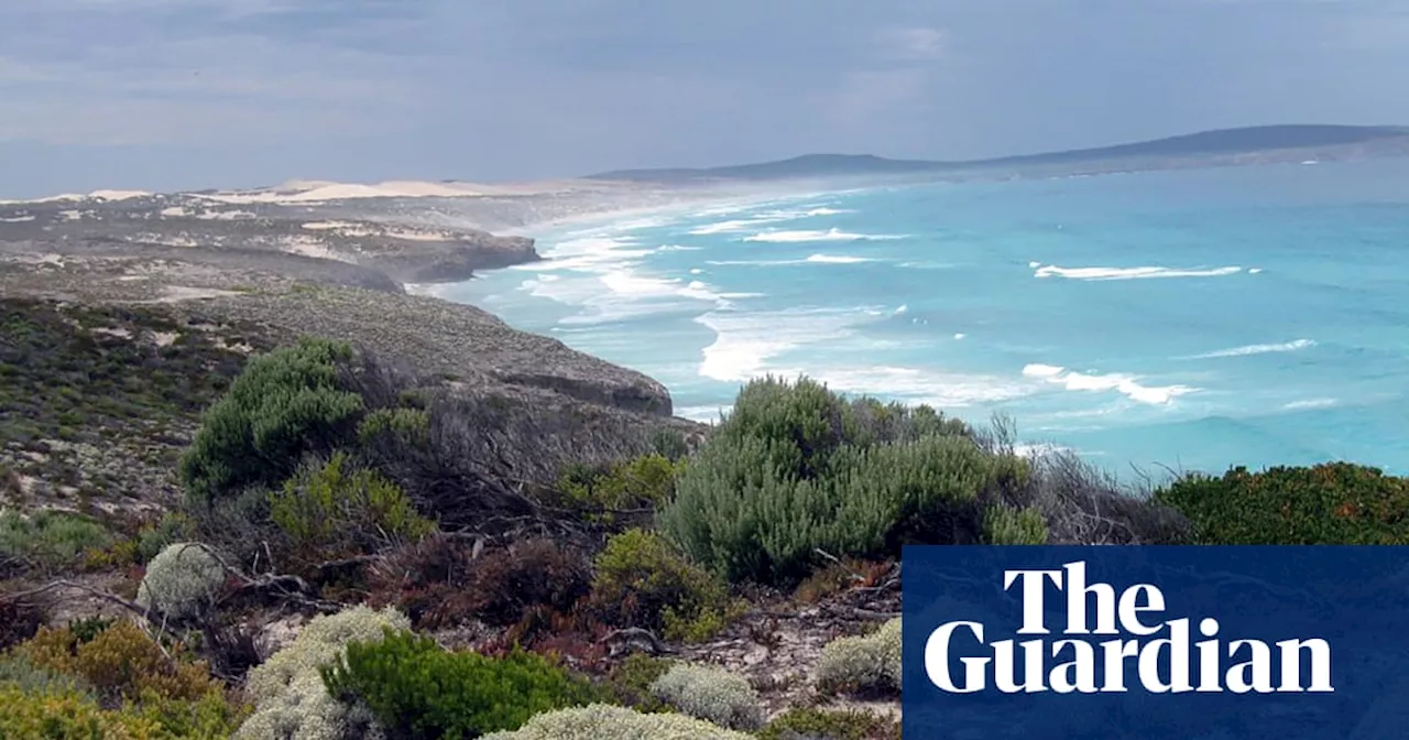 Three people dead after fishing boat capsizes off South Australian coast