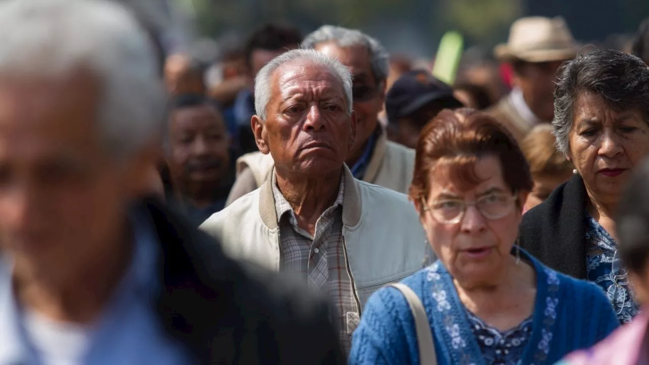 INAPAM: ¿Cuánto dinero ganan los adultos mayores como “cerillos” en supermercados?