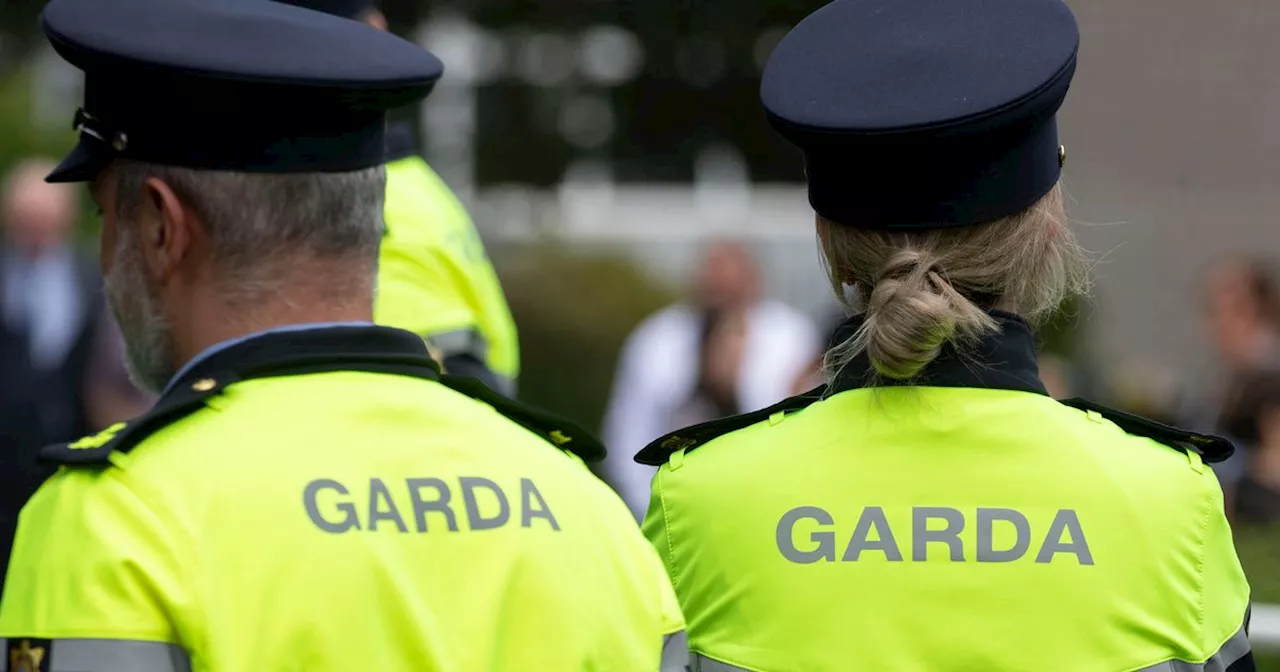 Garda middle managers call for 4,000 new officers amid recruitment plan problem