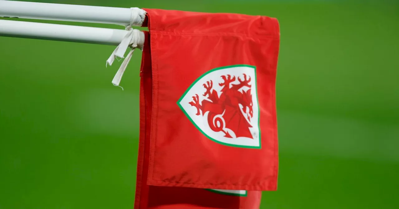 What time and TV channel is Wales vs Poland in the UEFA Euros Qualifier today