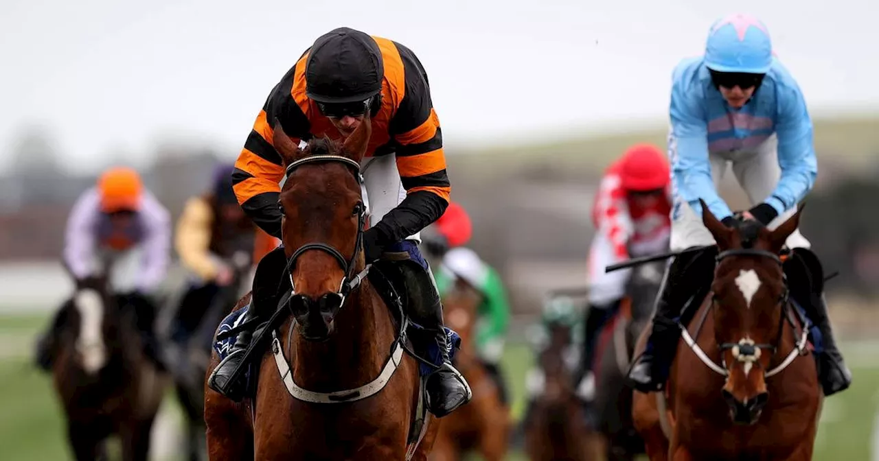 Irish Grand National field could be smallest in years with just ‘23 or 24 runners’