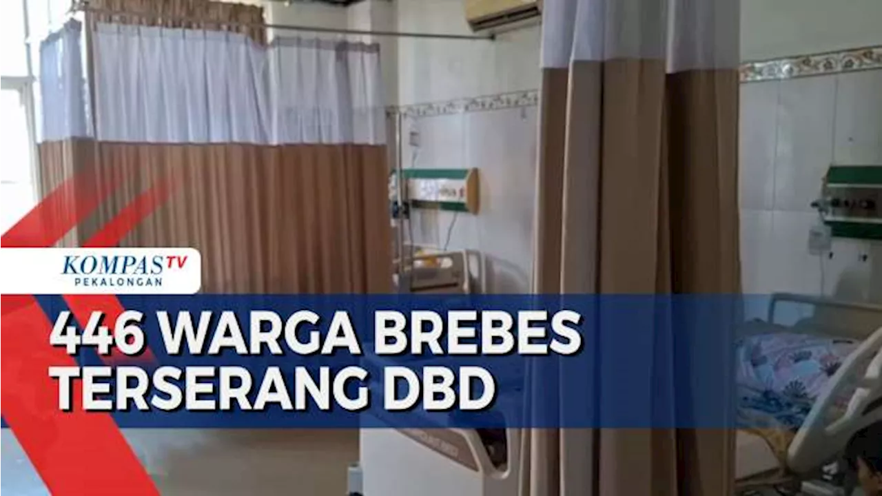 446 Warga Brebes Terserang DBD, 4 Meninggal! Waspada!