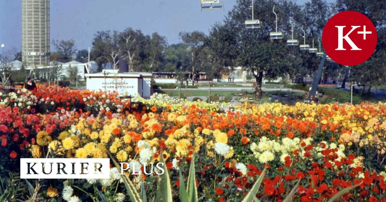 Vom Donaupark zum Kurpark Oberlaa: Flower Power für Wien