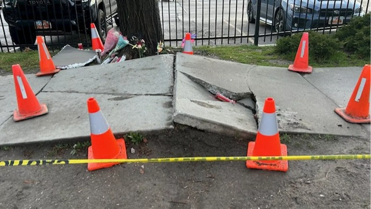 Deadly Salt Lake City scooter crash site appeared damaged for years