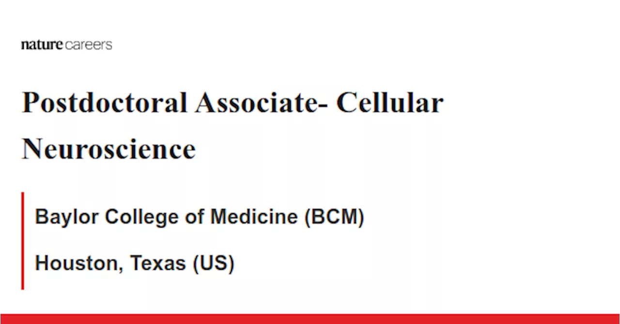 Postdoctoral Associate- Cellular Neuroscience - Houston, Texas (US) job with Baylor College of Medicine (BCM)