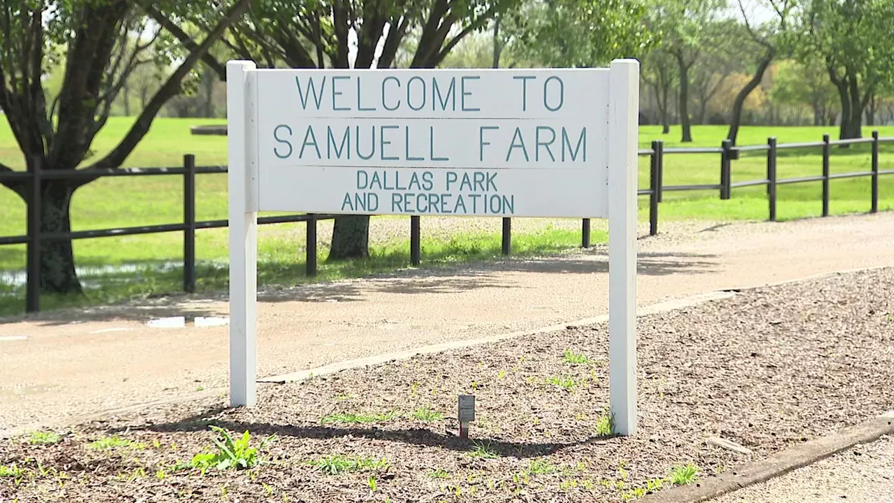 Dallas' Samuell Farm Park welcoming 2k+ people for total solar eclipse