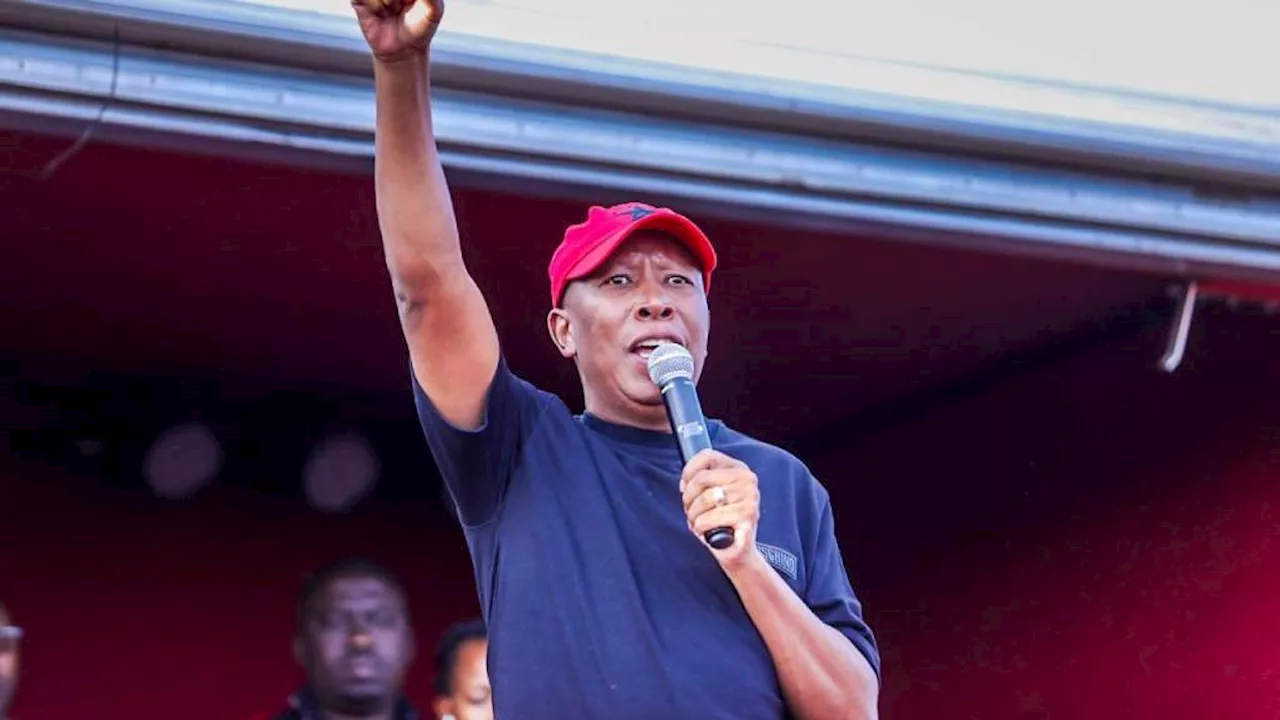 Elections 2024: Malema promises more ethical government, slams ANC and DA at EFF Western Cape rally