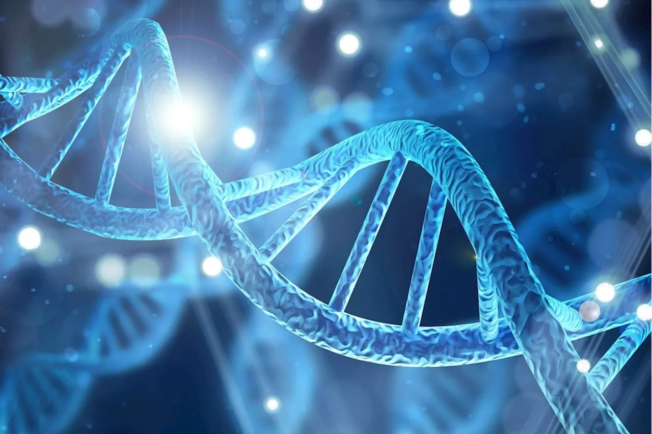 Understanding genetic testing for hereditary cancer diagnosis