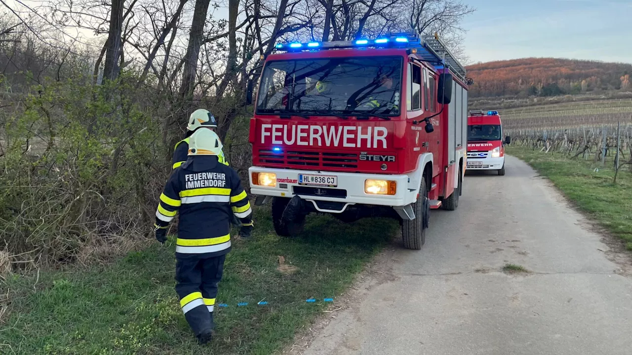 „Frost-Feuer“ ließ die Feuerwehr Immendorf ausrücken