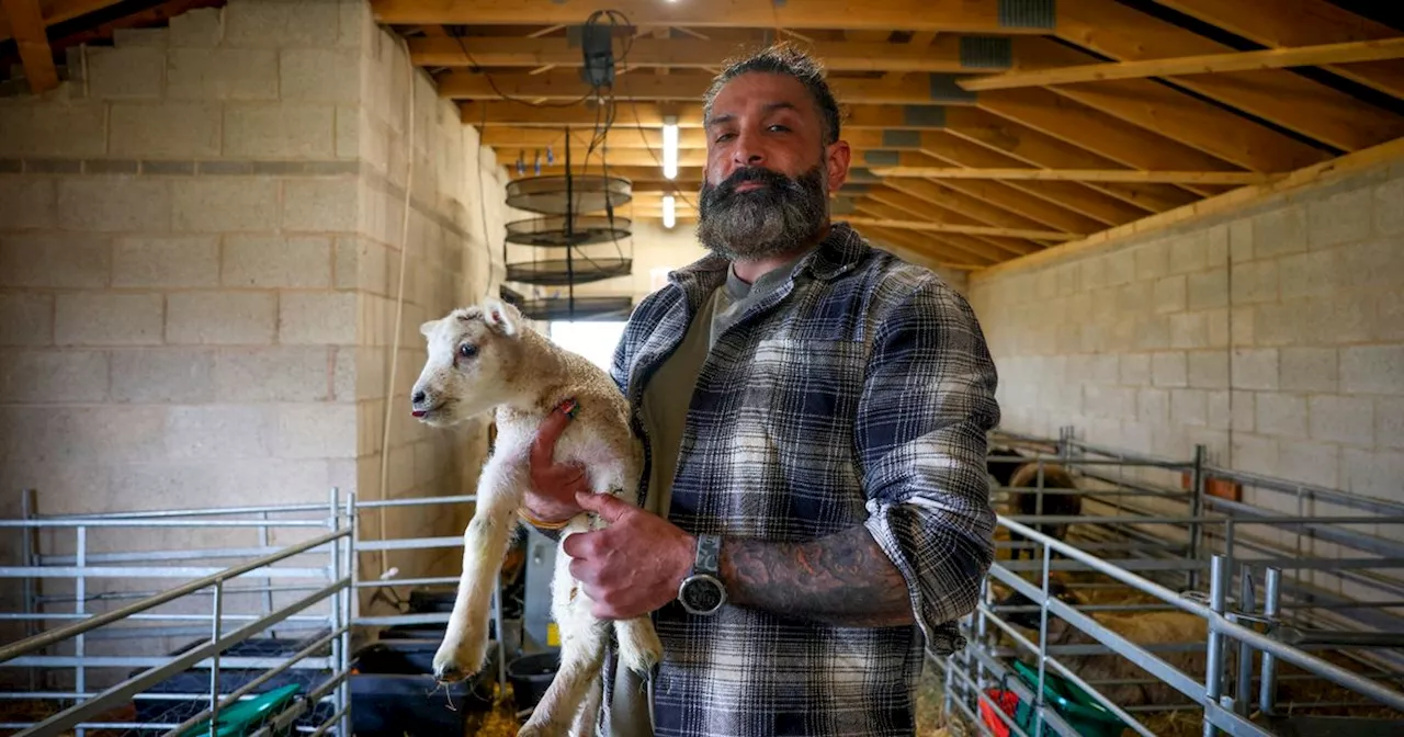 Sheep farmers embroiled in £80k dispute over 'inappropriate' barn