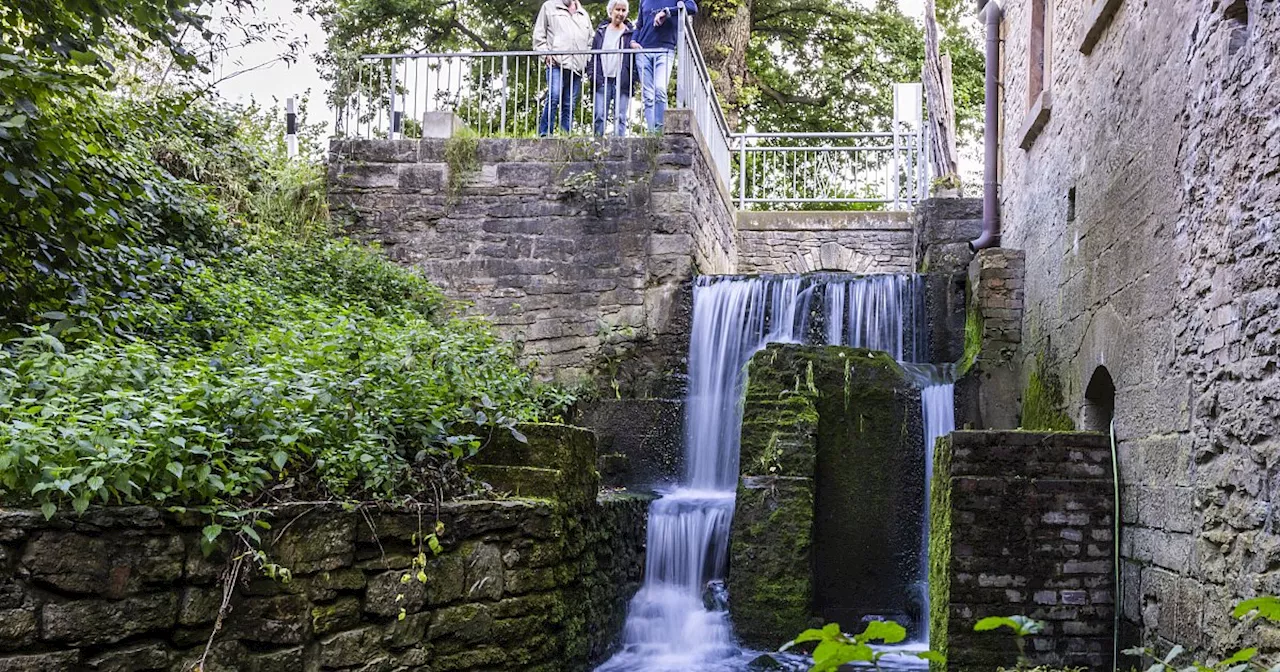 Bielefelder Wassermühle verliert Bachlauf: eine Posse um besonders gelungenen Denkmalschutz