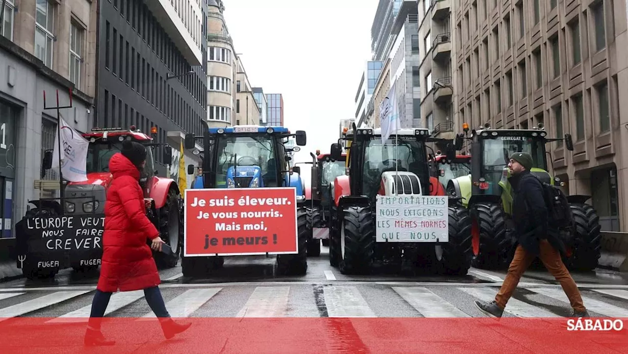 Ministros dos 27 aprovam ajudas para agricultura com nova manifestação à porta