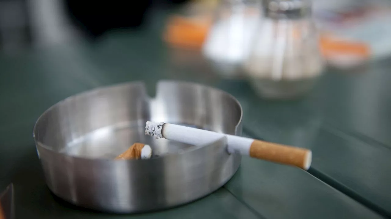 En Belgique, un tiers des cancers sont liés au tabac