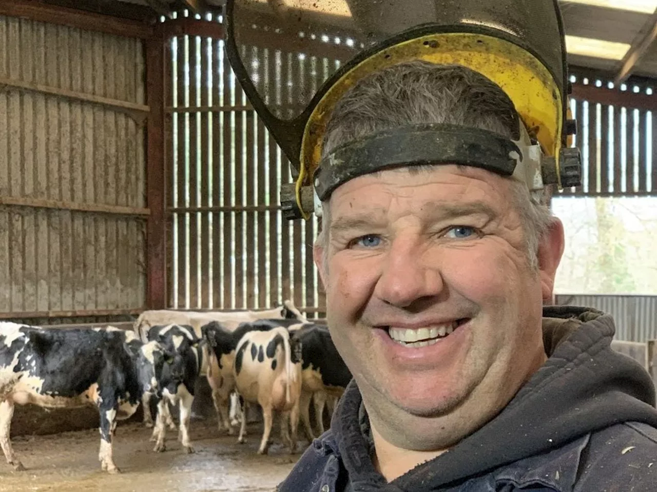 Shropshire Farming Talk: Managing cow comfort before spring turnout