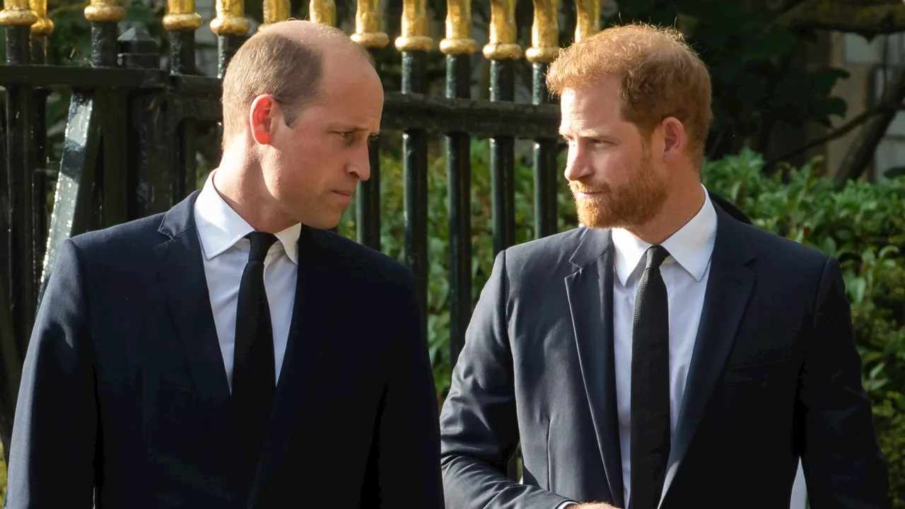 William’s frosty reply to Harry’s text after cancer announcement