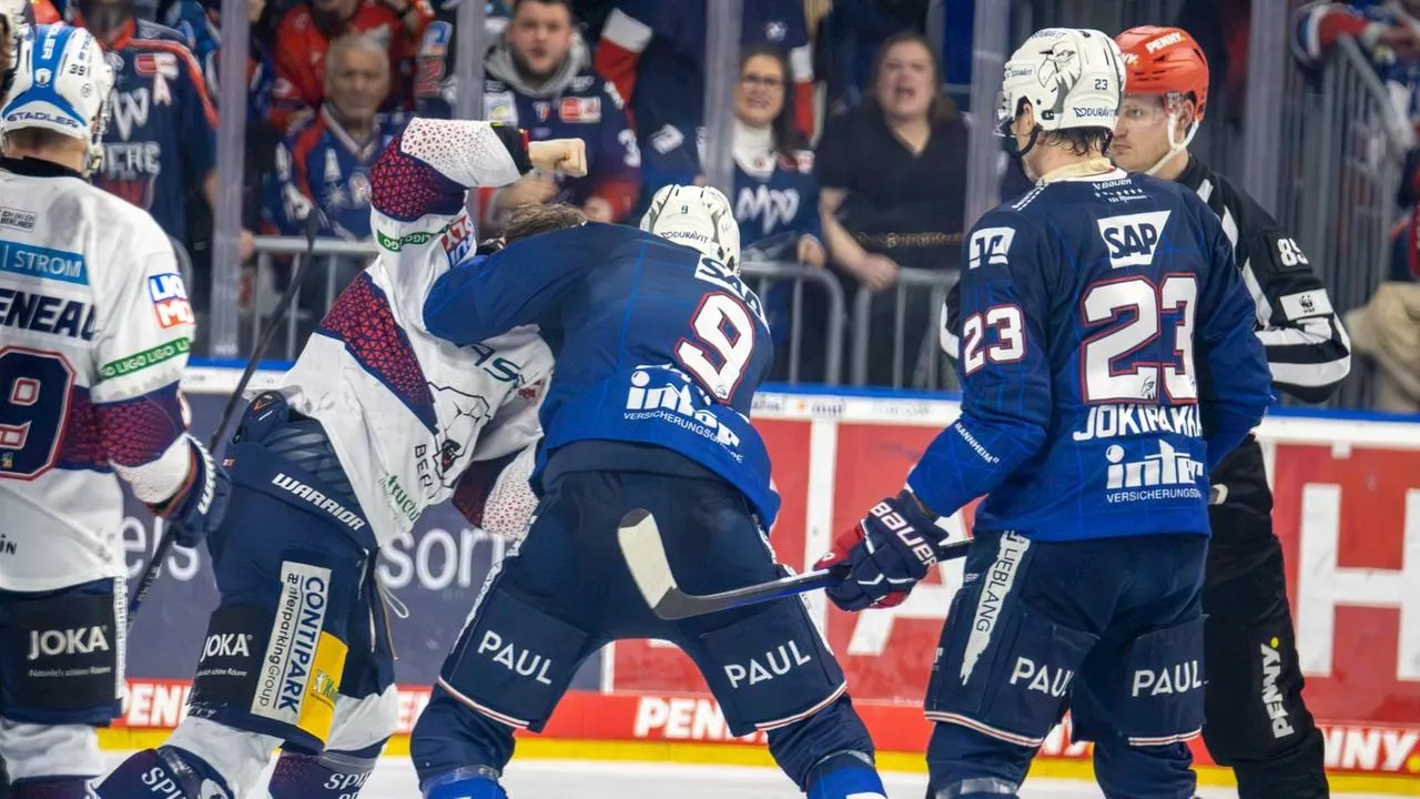 Adler und Eisbären: Die gelebte Rivalität zwischen Mannheim und Berlin