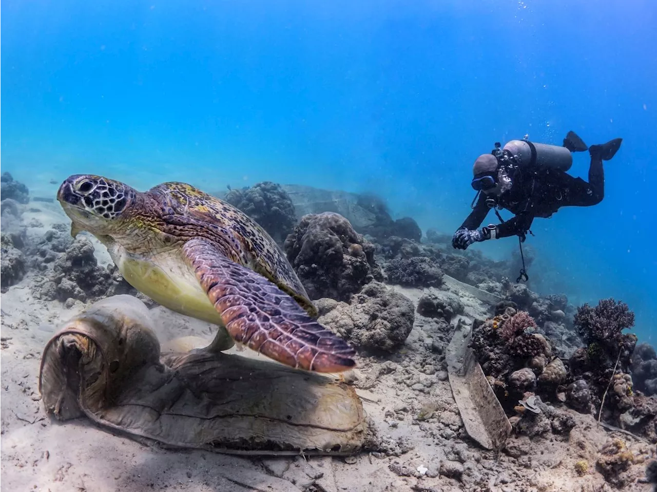 Divers collect 12.1 tonnes of rubbish from ocean floors in Sabah