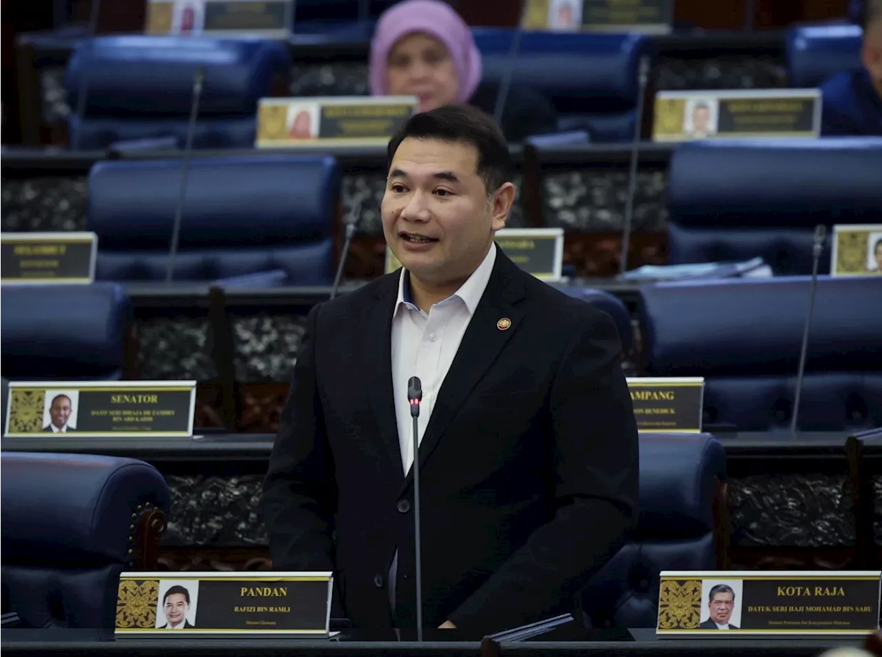 Padu system meets international standards, says Rafizi