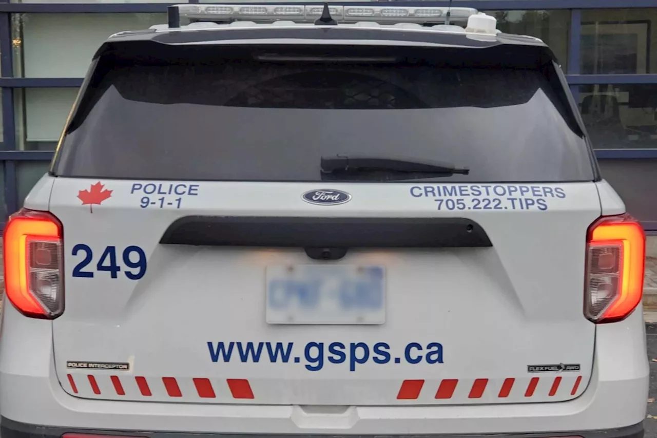 One arrested after search nets $38K in illegal drugs: GSPS