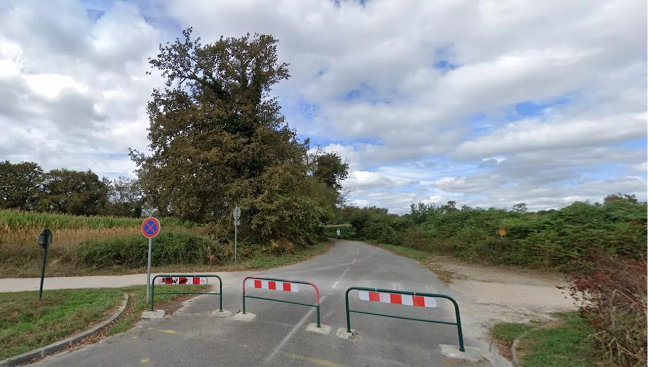 Béarn : le viol d’une octogénaire au coeur du bois de Lons étudié par la justice