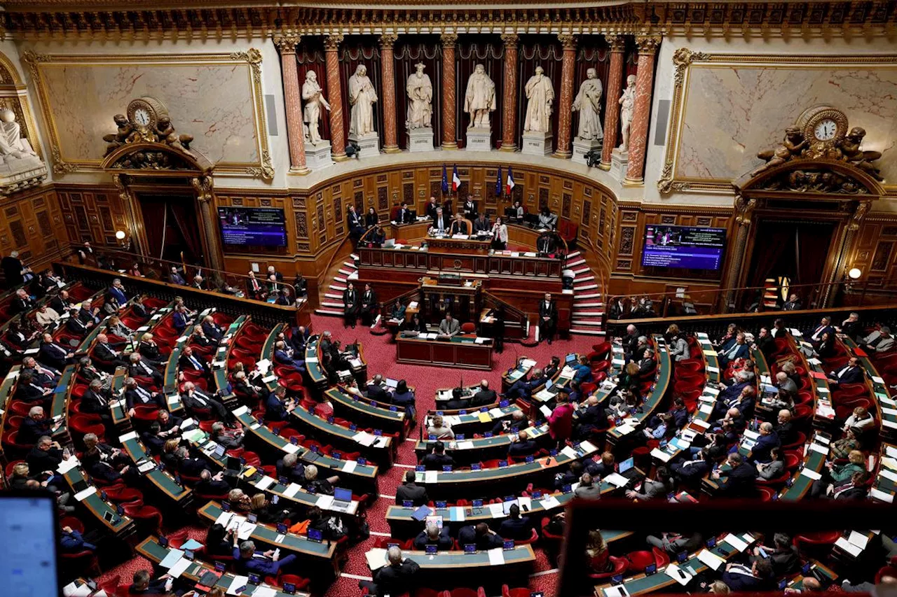 Nouvelle-Calédonie : le Sénat s’empare d’une réforme constitutionnelle ultrasensible