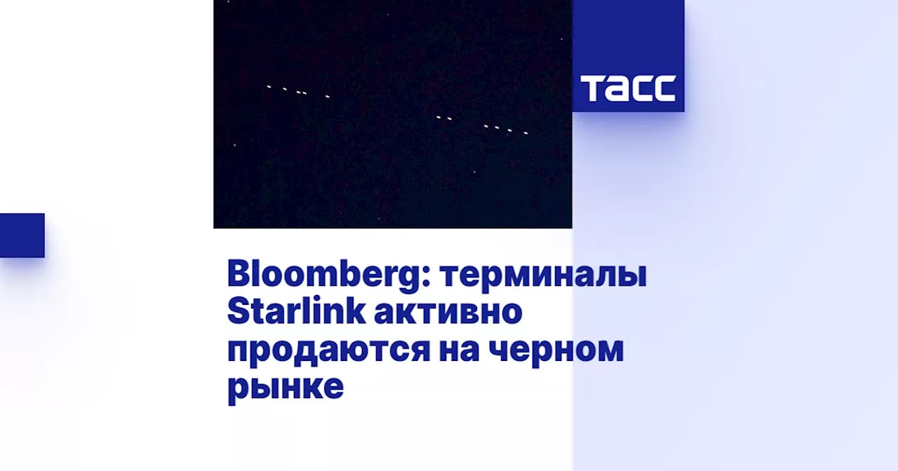 Bloomberg: терминалы Starlink активно продаются на черном рынке