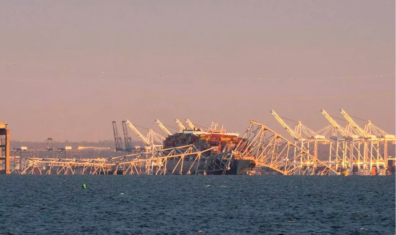 Cargo ship slams into Baltimore bridge sending cars tumbling into the water