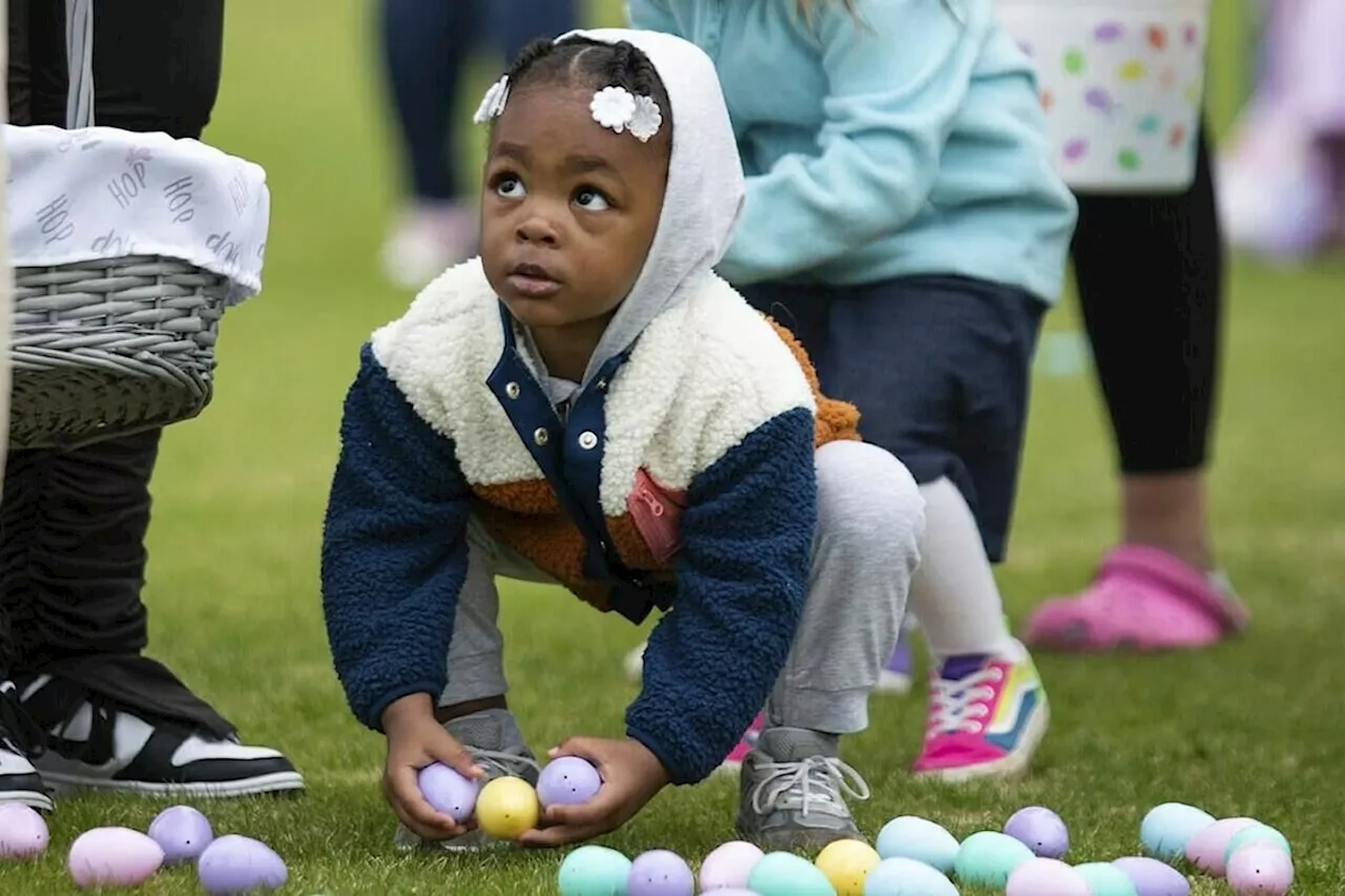 Eggs going to cost you this Easter thanks to bird flu, weather, inflation