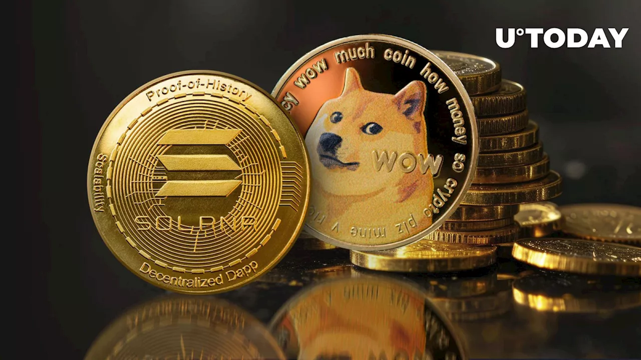 Dogecoin Only: DOGE Creator Denies Ties to Cat-Inspired Solana Meme Coin