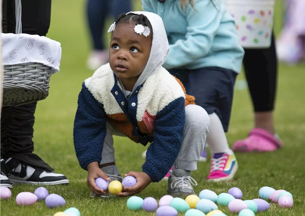 Bird flu, weather and inflation conspire to keep egg prices near historic highs for Easter