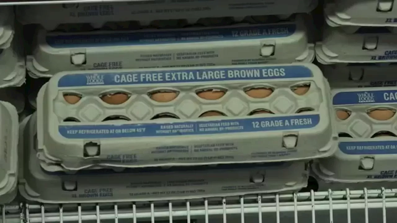 Bird flu, weather and inflation conspire to keep egg prices near