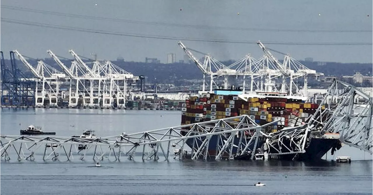 Baltimore bridge collapse and port closure send companies scrambling to re-route cargo