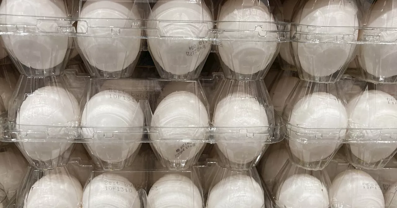 Bird flu, weather and inflation conspire to keep egg prices near historic highs for Easter