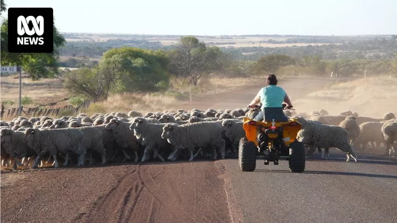 Farm Safe Australia warns against safety complacency after four farm deaths on Queensland this year