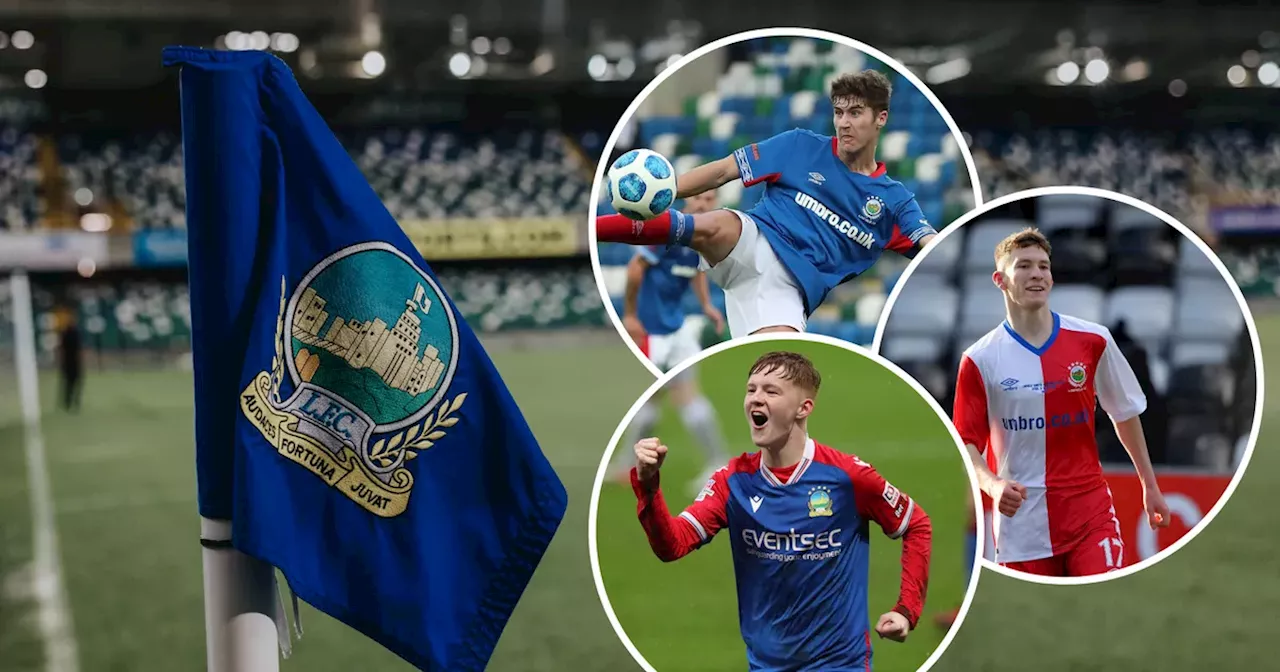 Linfield 'pride' as they make huge contribution to memorable day for NI