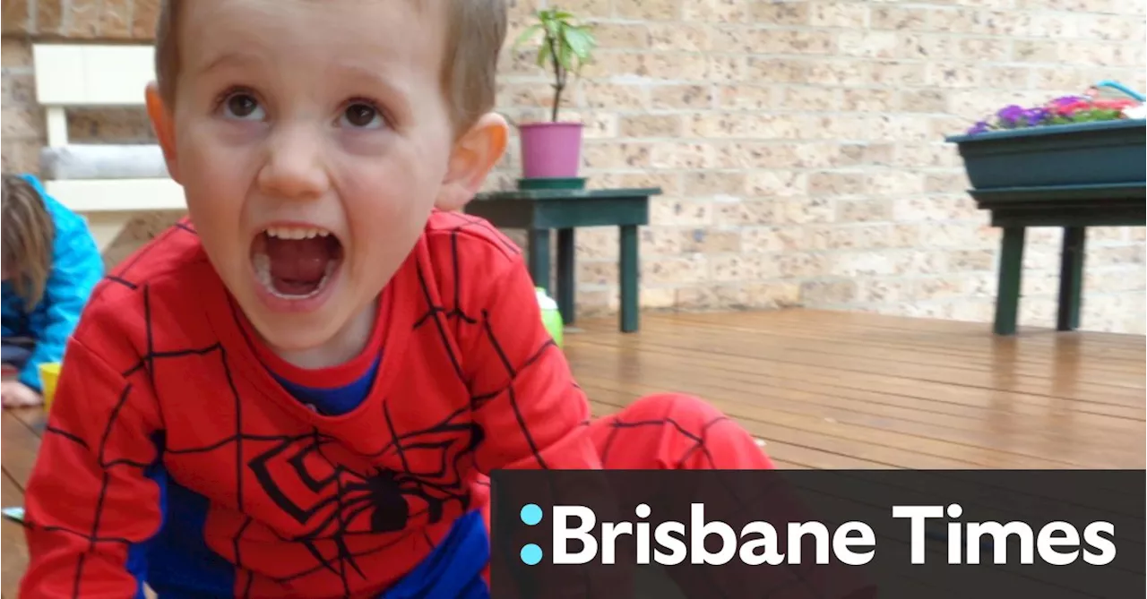 William Tyrrell’s foster parents’ lives fell apart as police investigated them